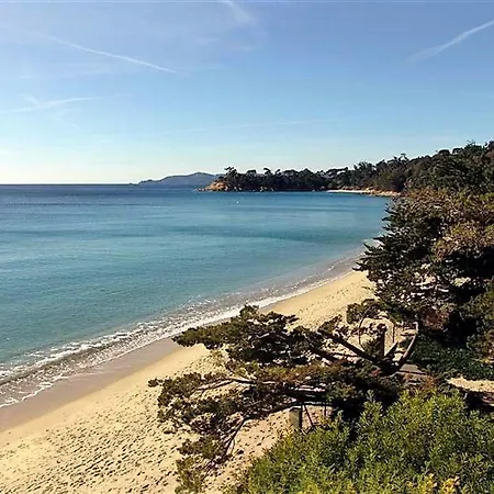 Appartement Appt 2p Avec Terrasse Et Parking - - Fr-1-251-544 *